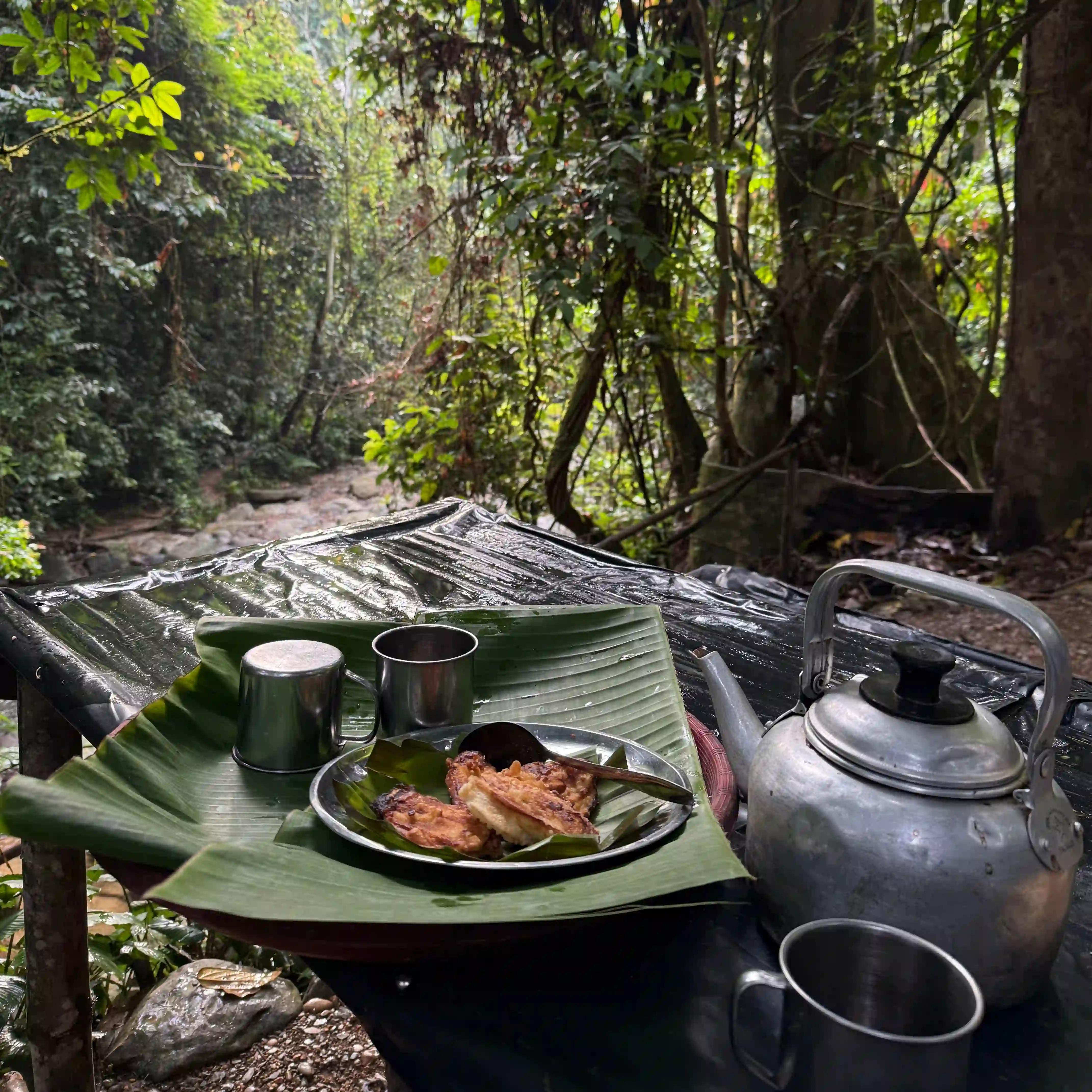 Campsite breakfast jungle North Sumatra