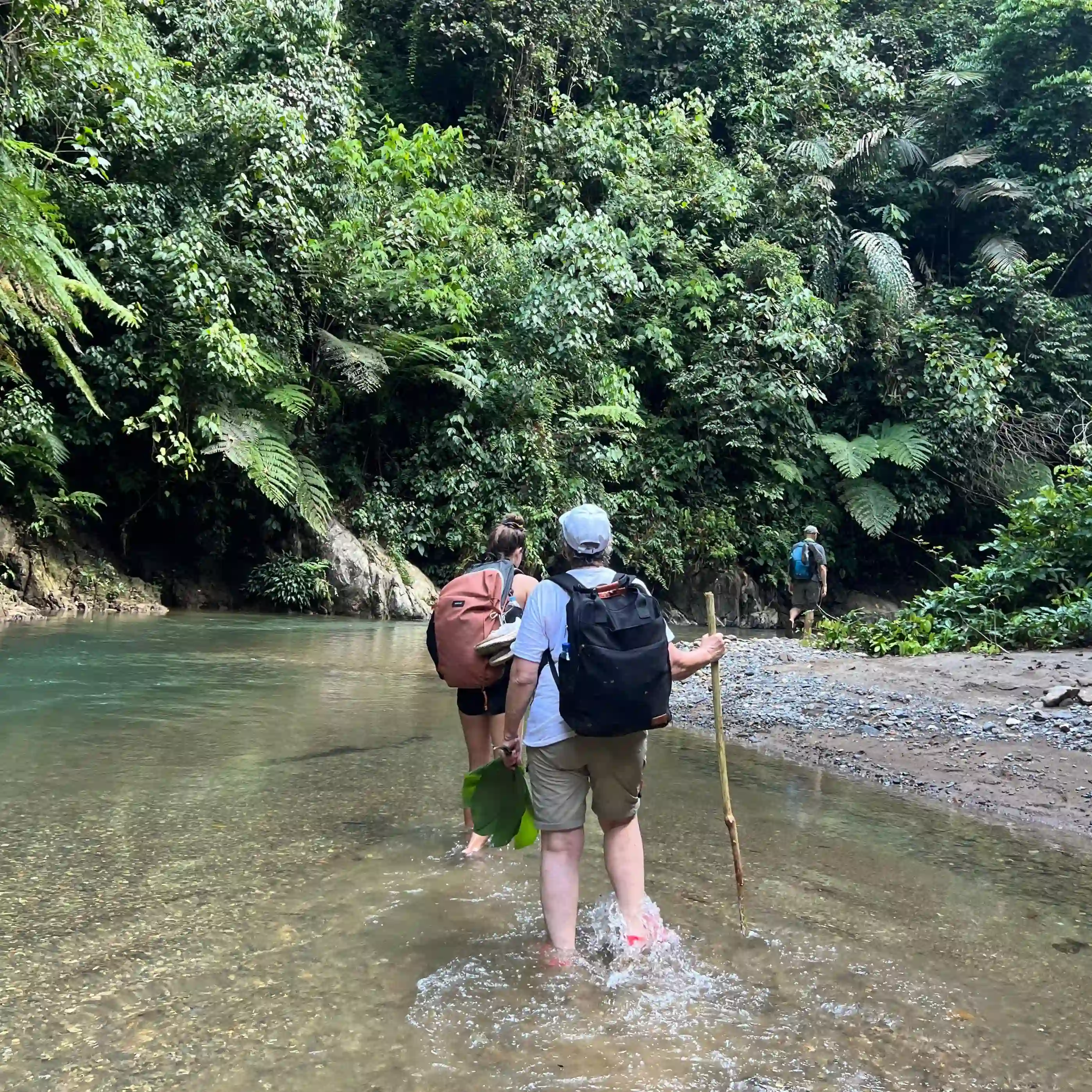 Eco trekking river crossing Bukit Lawang North Sumatra